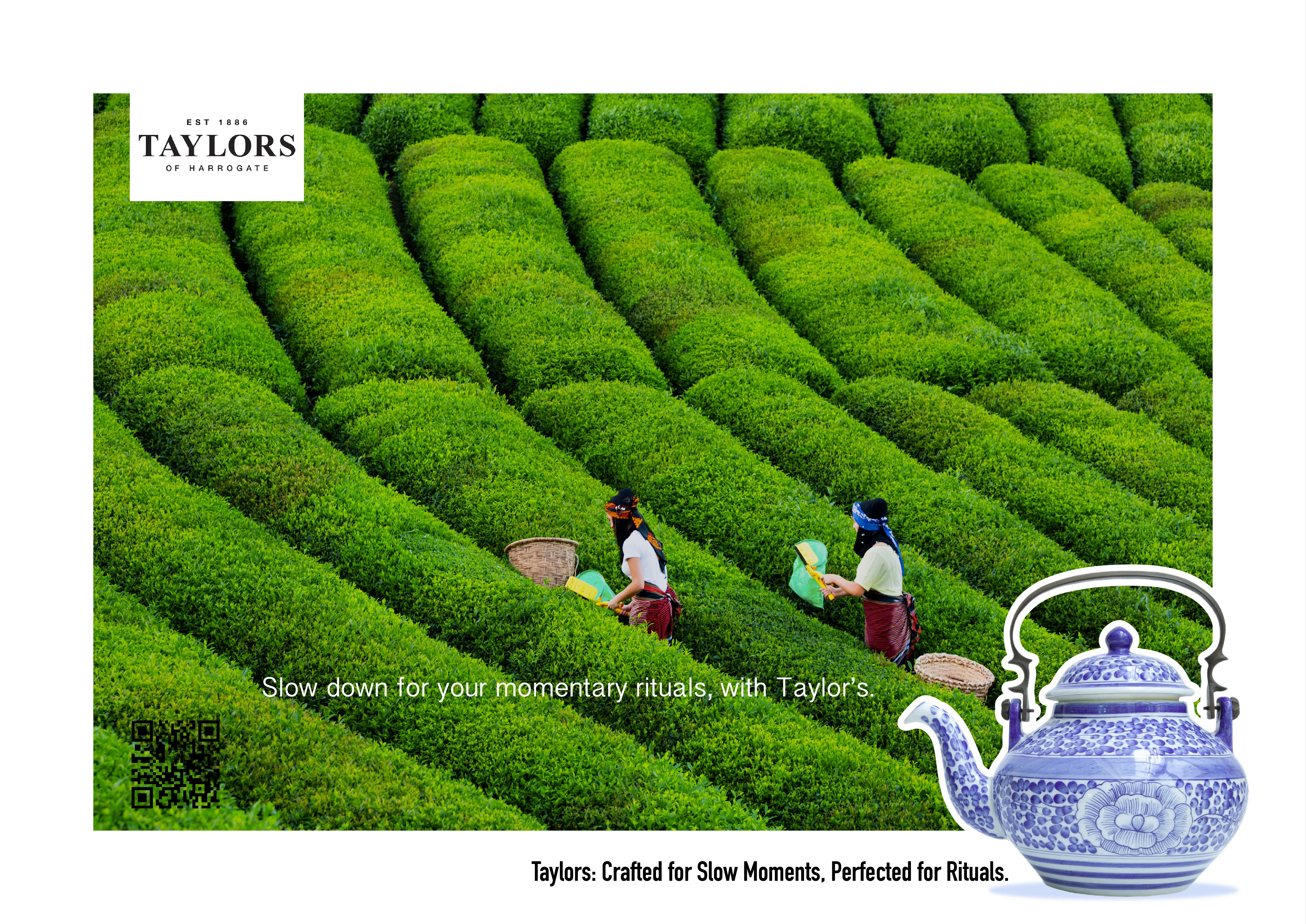 Taylors of Harrogate poster 4